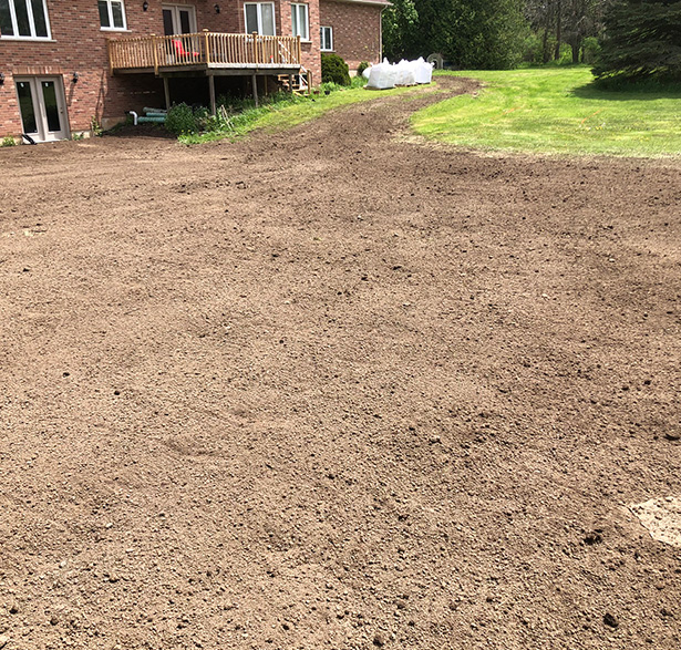 Professional Land Clearing Solutions in Midland, Tiny, Penetanguishene, Barrie, Collingwood and Orillia