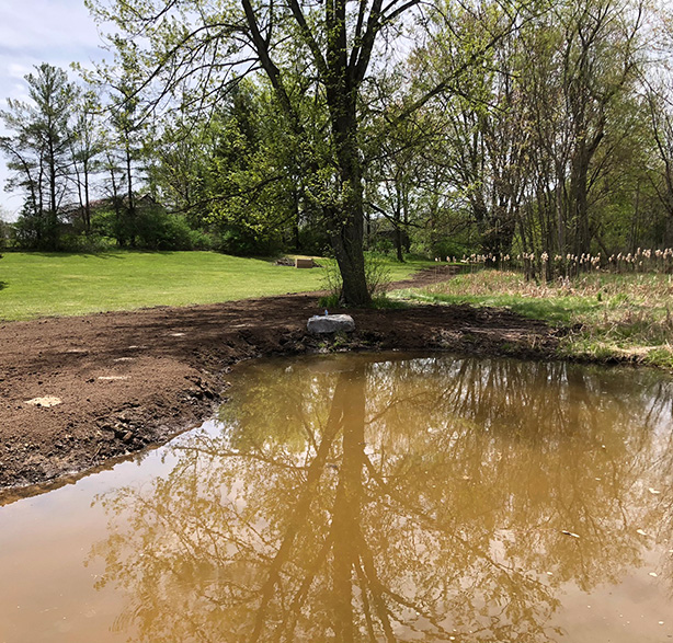 Simcoe County’s Choice for Land Clearing in Midland, Tiny, Penetanguishene, Barrie, Collingwood and Orillia